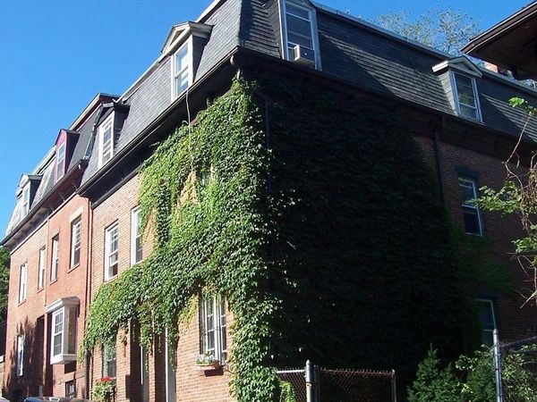 6 Sewall Street, Unit 1, Boston, MA 02120