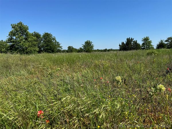 2664 Buck Horn Road , Healdton, OK 73438