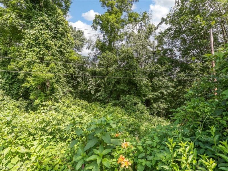 62682 Beverly Lane, Cambridge, OH 43725 Photo 37
