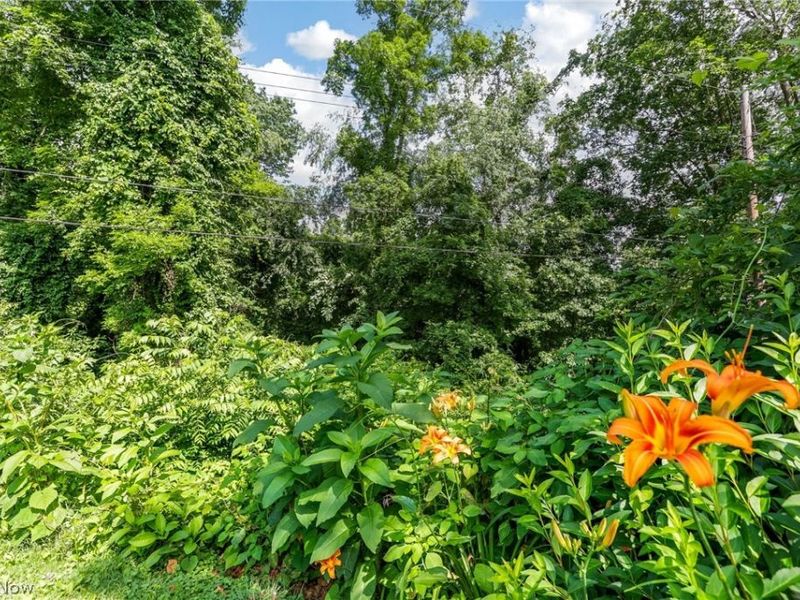 62682 Beverly Lane, Cambridge, OH 43725 Photo 38