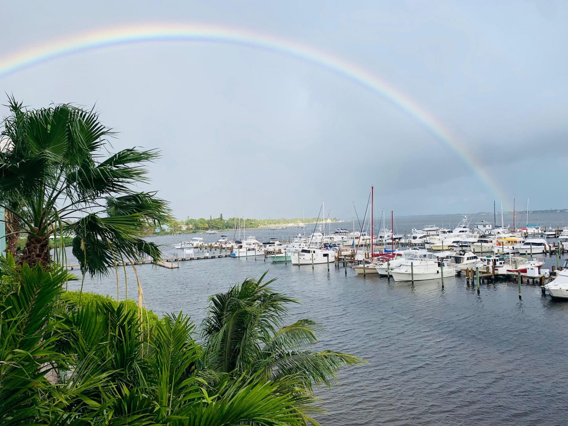 975 NW Flagler Avenue, Unit 206, Stuart, FL 34994 Photo