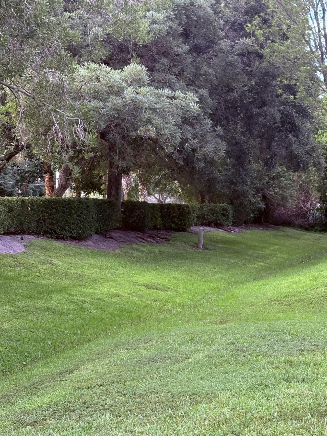 72 Fairway Lane, Royal Palm Beach, FL 33411 Photo