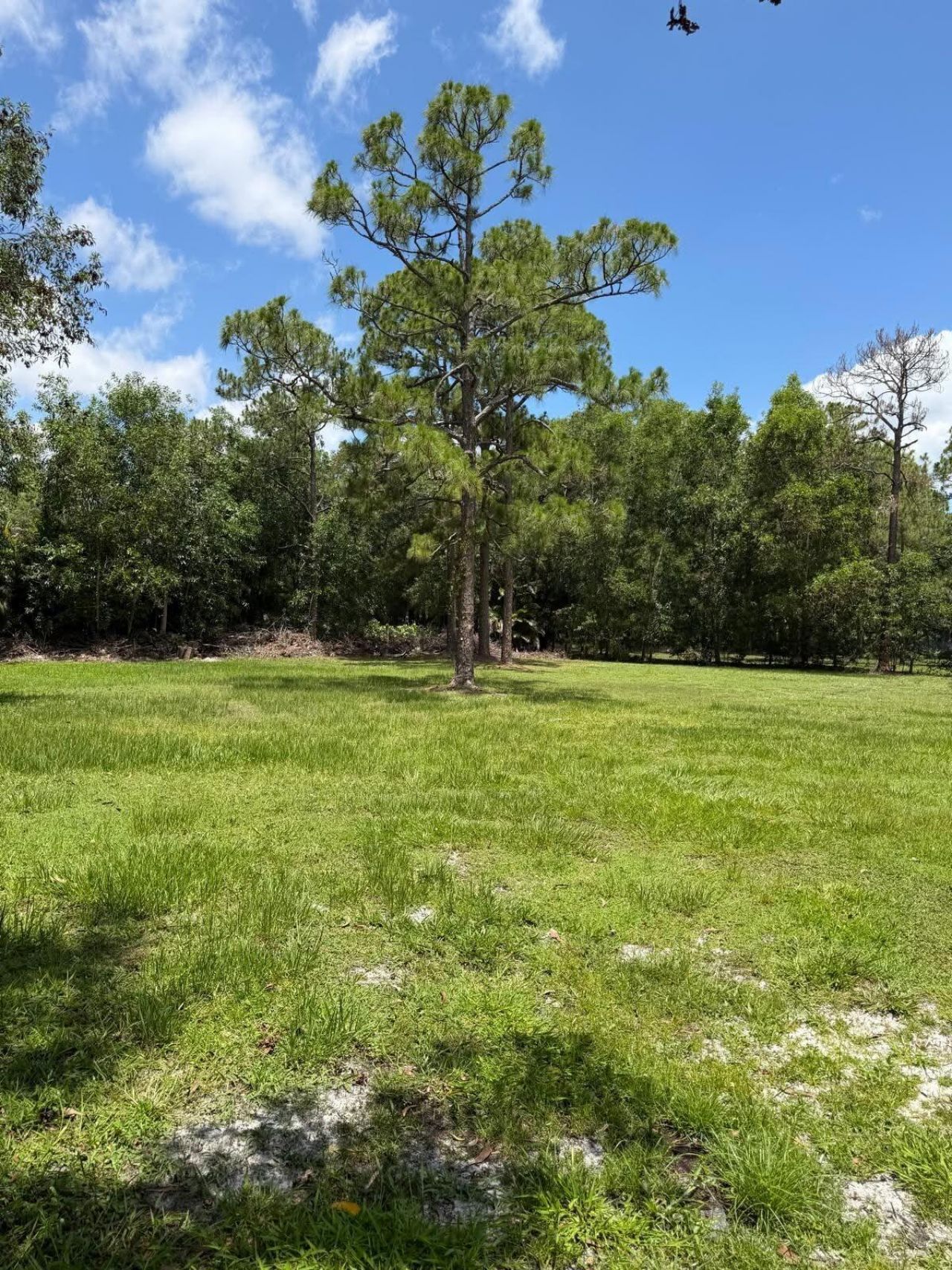 15647 N 116th Ter Terrace N, Jupiter Farms, FL 33478 Photo