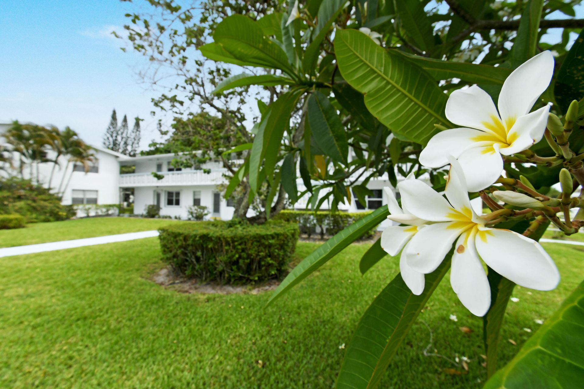 238 Sussex L, West Palm Beach, FL 33417 Photo