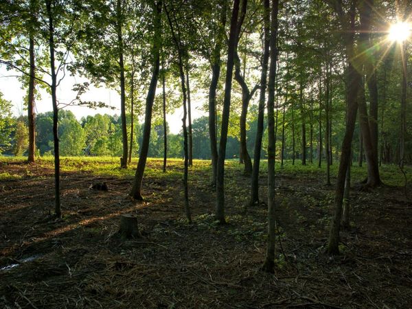 0 Keystone Dr , Unit 2, Pleasant View, TN 37146