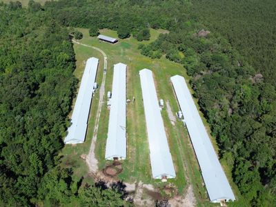 0 Holladay Road, Manning, SC 29102