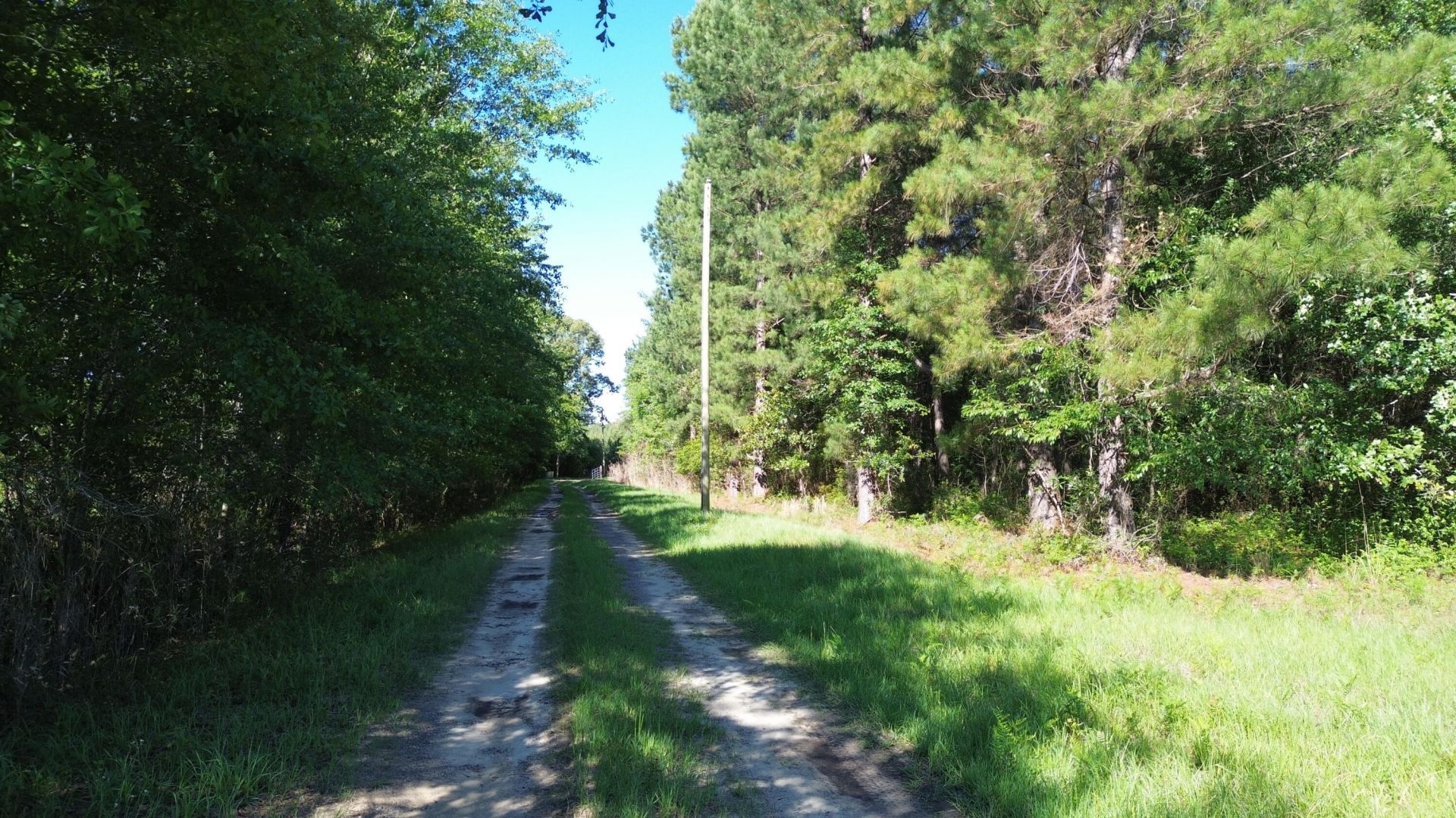 0 Holladay Road Photo 14