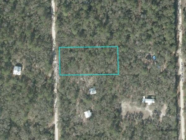 SE WILD TURKEY ROAD , BRANFORD, FL 32008