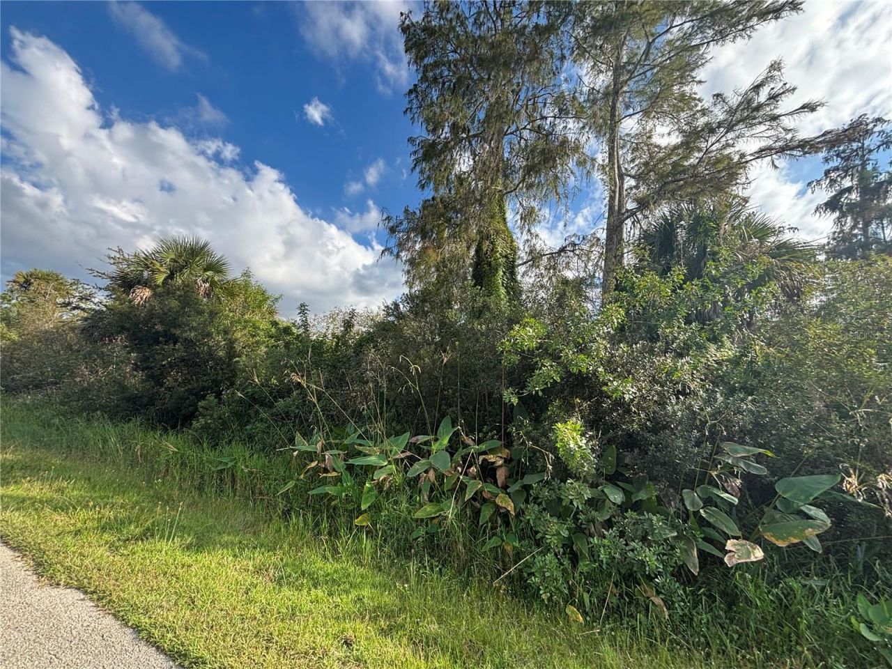 Xxx37 Th Ave Ne, Naples, FL 34120 Photo