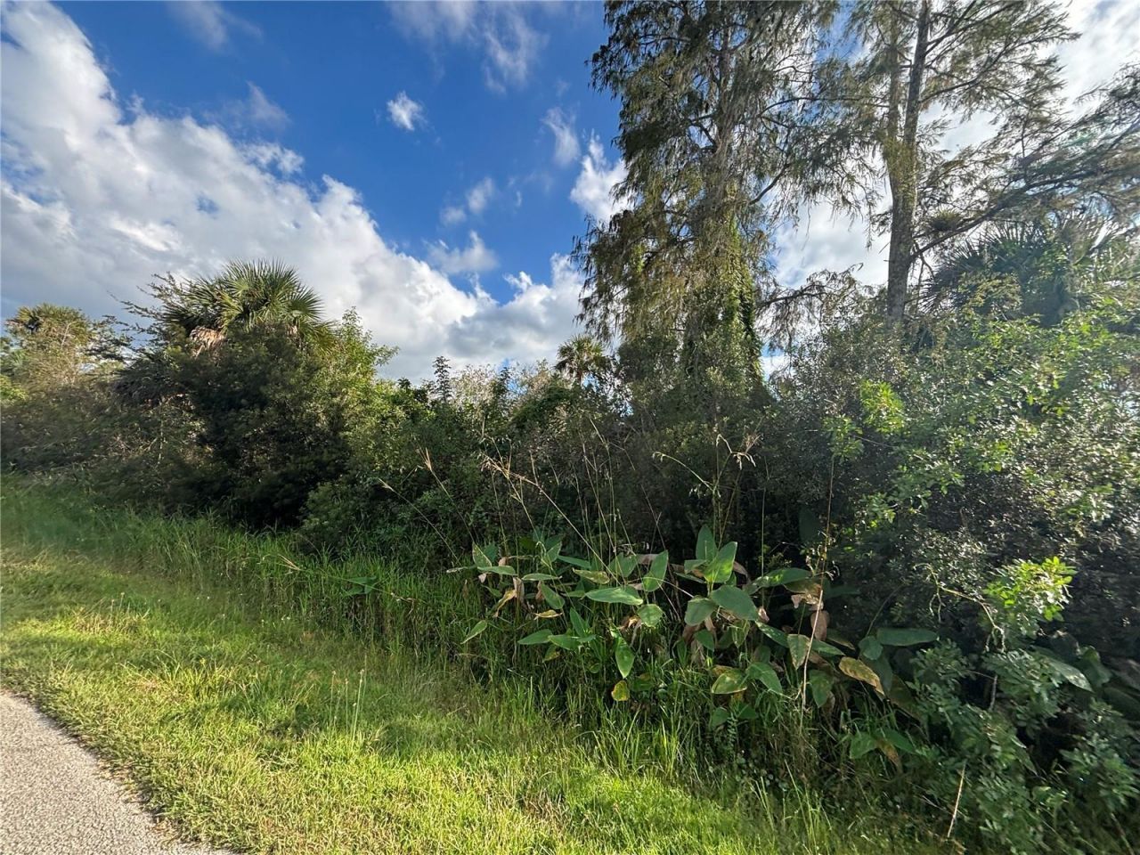 Xxx37 Th Ave Ne, Naples, FL 34120 Photo