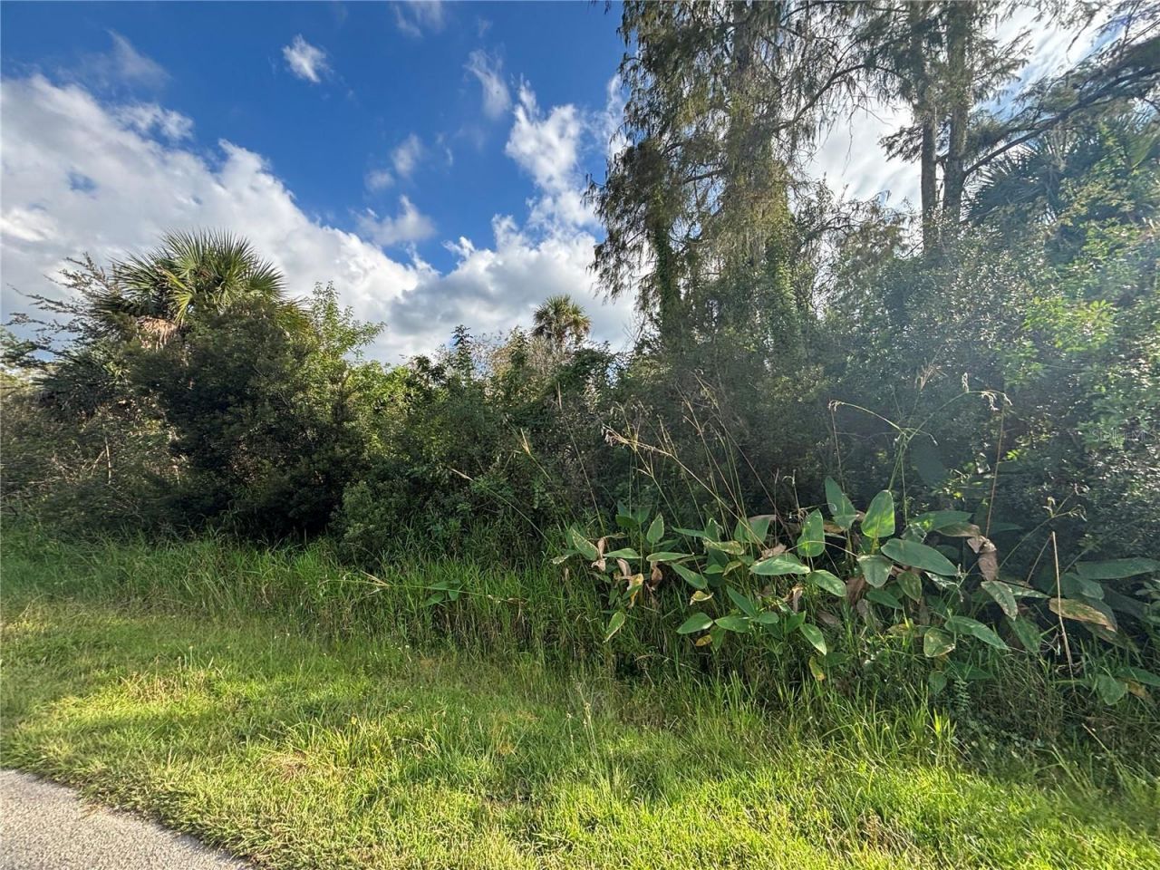Xxx37 Th Ave Ne, Naples, FL 34120 Photo