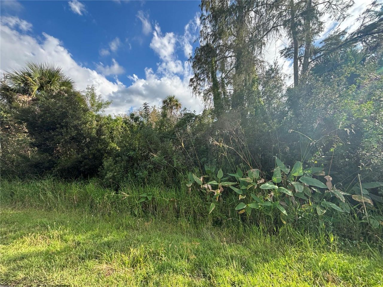 Xxx37 Th Ave Ne, Naples, FL 34120 Photo
