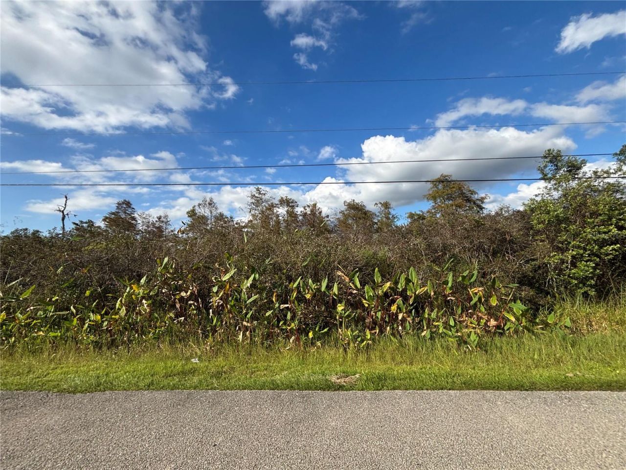 Xxx37 Th Ave Ne, Naples, FL 34120 Photo