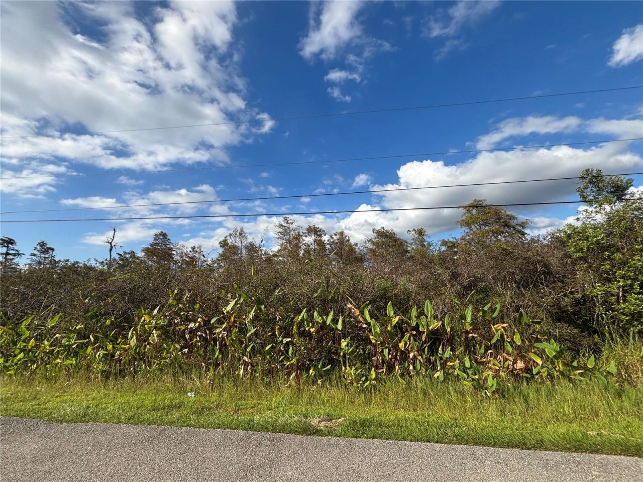 Xxx37 Th Ave Ne, Naples, FL 34120 Photo