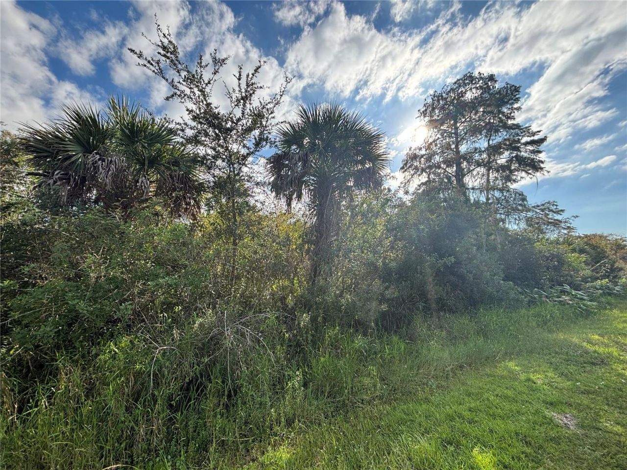 Xxx37 Th Ave Ne, Naples, FL 34120 Photo