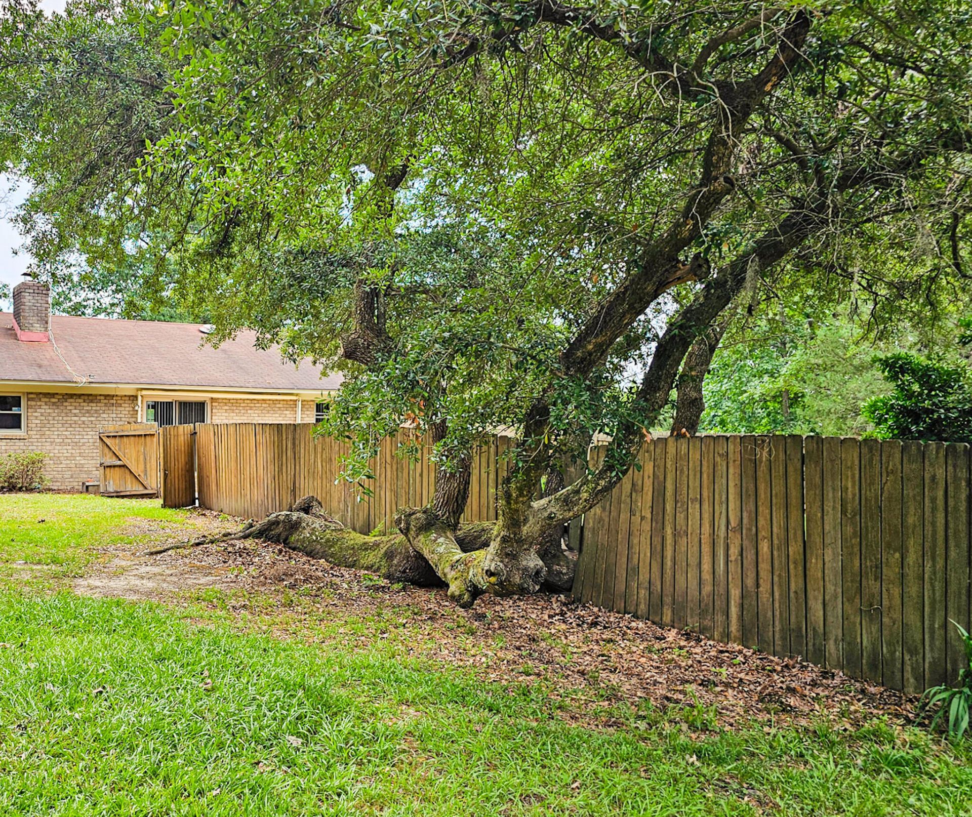 192 Lazy Bee Lane Photo 54