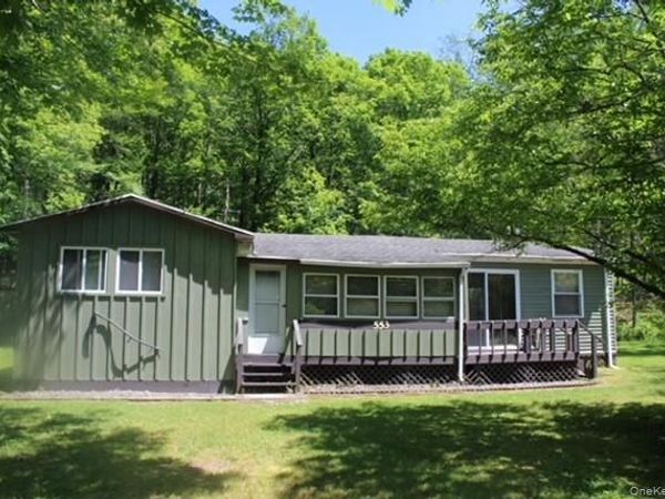 553 Friedenstein Road , Long Eddy, NY 12760