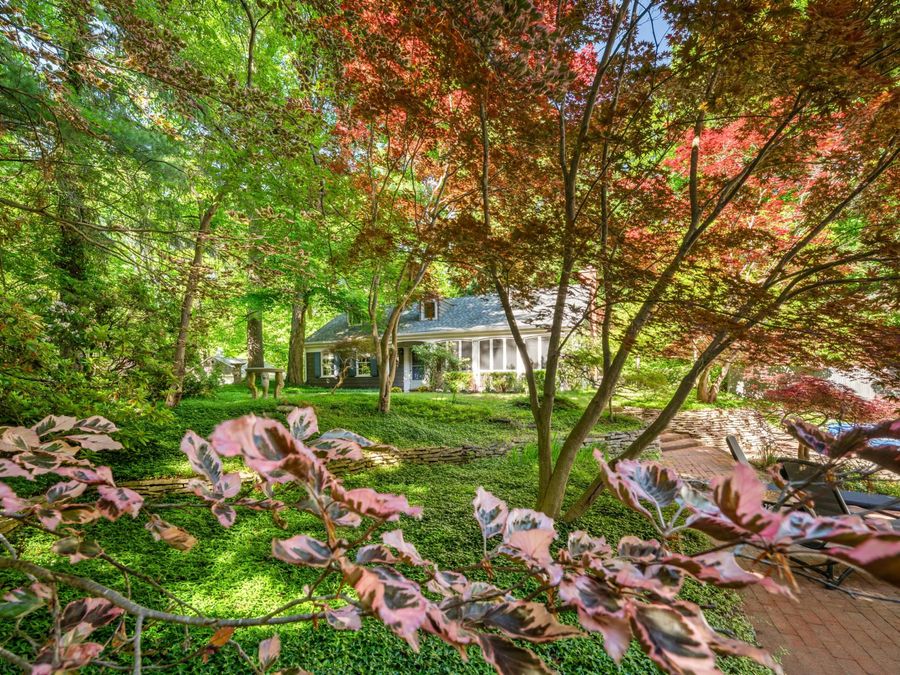 Property Image 65