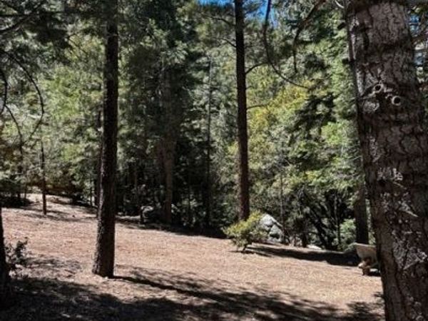 1221 Azalea Dr, Pine Mountain Club, CA 93222