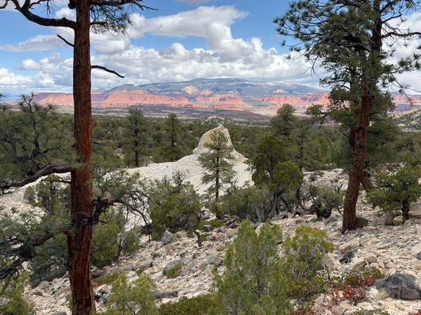 2196 E TEASDALE RD , Teasdale, UT 84773