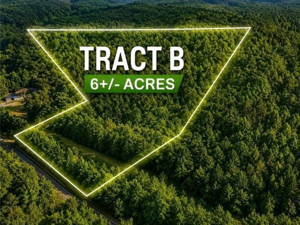 TBD TRACT B Bellview Road, Robbins, NC 27325