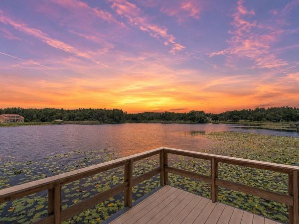 2459 SHOREWOOD LANE, LAND O LAKES, FL 34639
