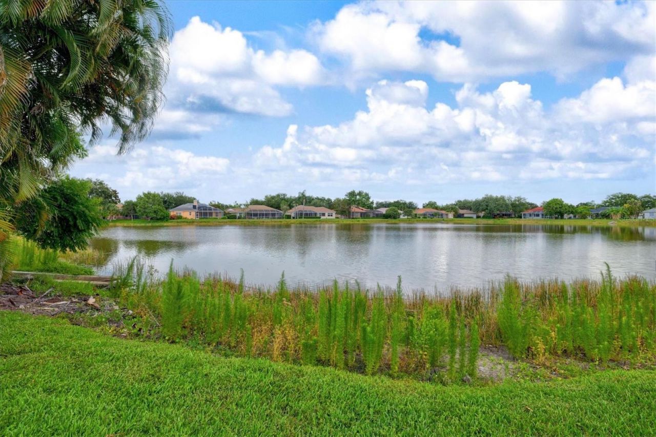 4860 Cedar Oak Way , Sarasota, FL 34233 Photo