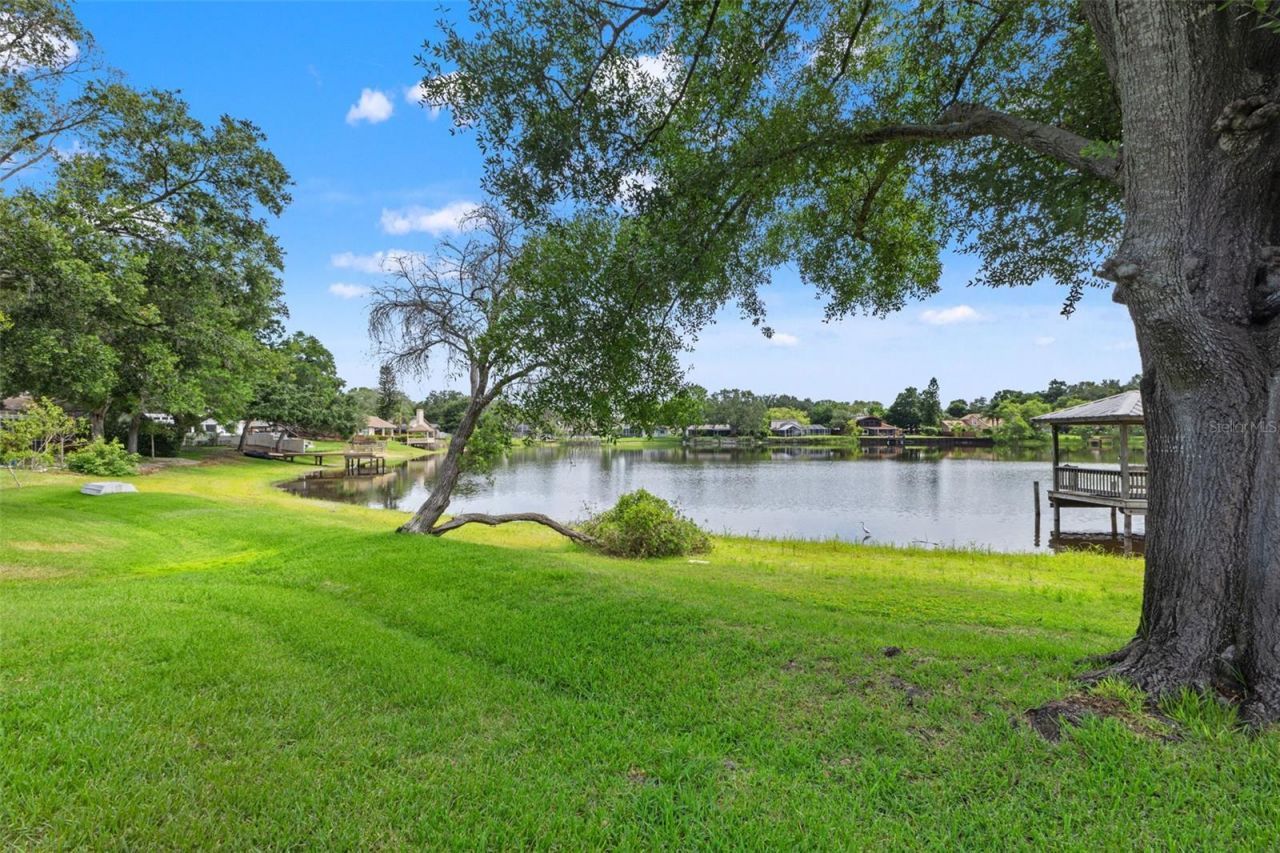4315 Round Lake Court, Tampa, FL 33618 Photo