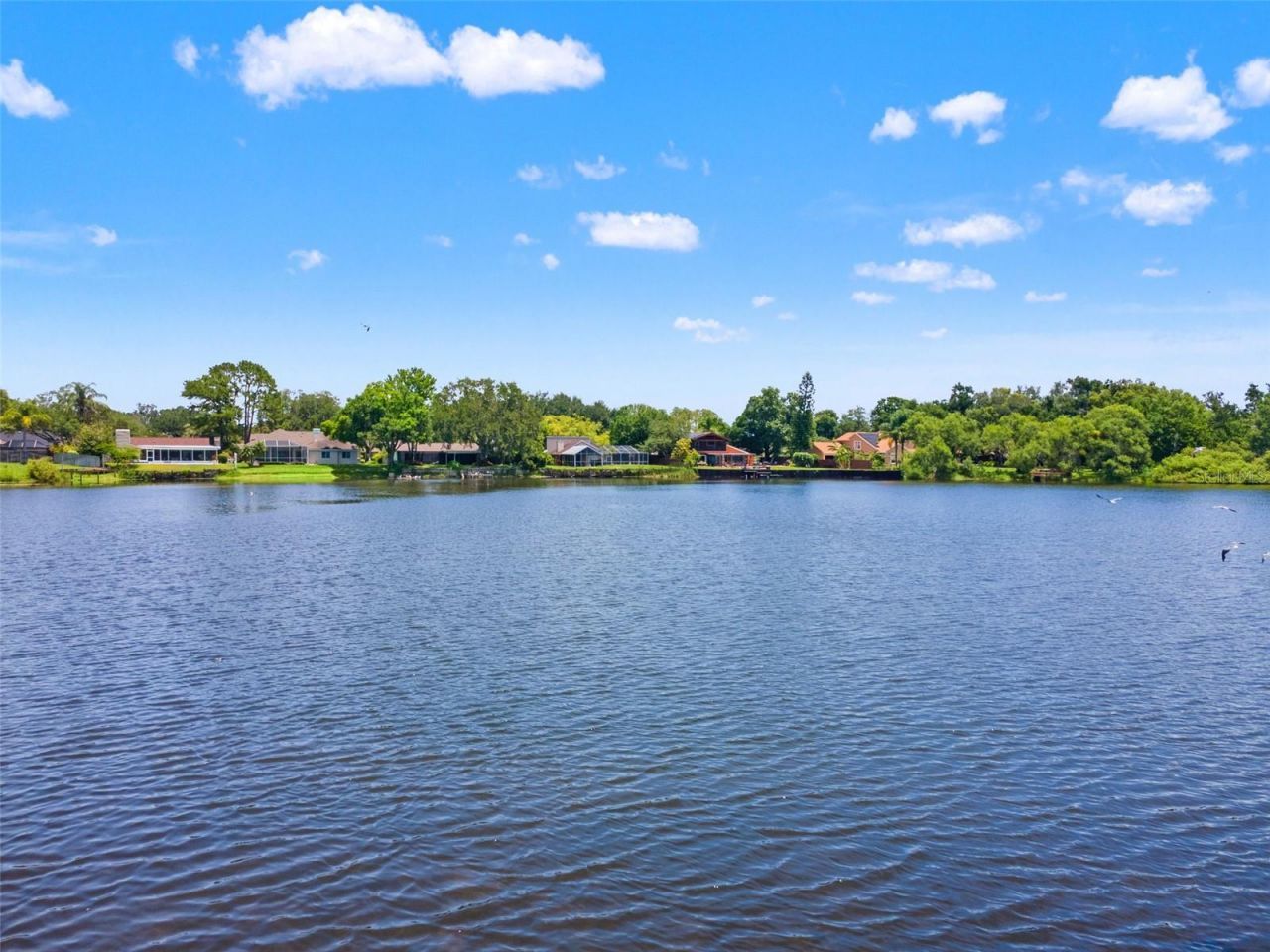4315 Round Lake Court, Tampa, FL 33618 Photo