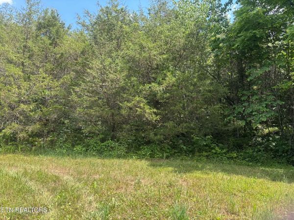 00 Mulberry Gap Rd, Sneedville, TN 37869