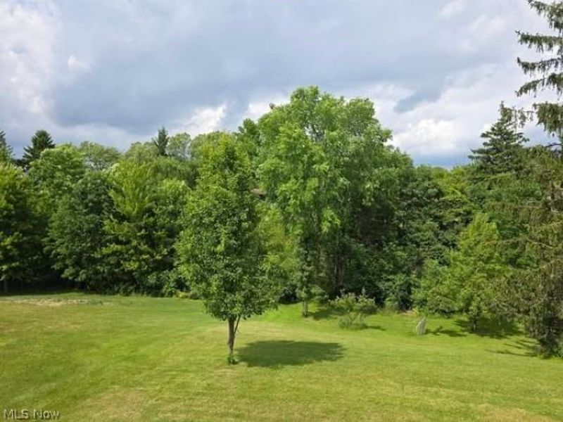 7623 Alan Parkway, Middleburg Heights, OH 44130 Photo 2