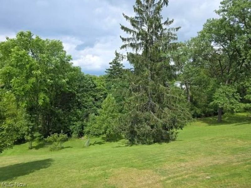 7623 Alan Parkway, Middleburg Heights, OH 44130 Photo 3