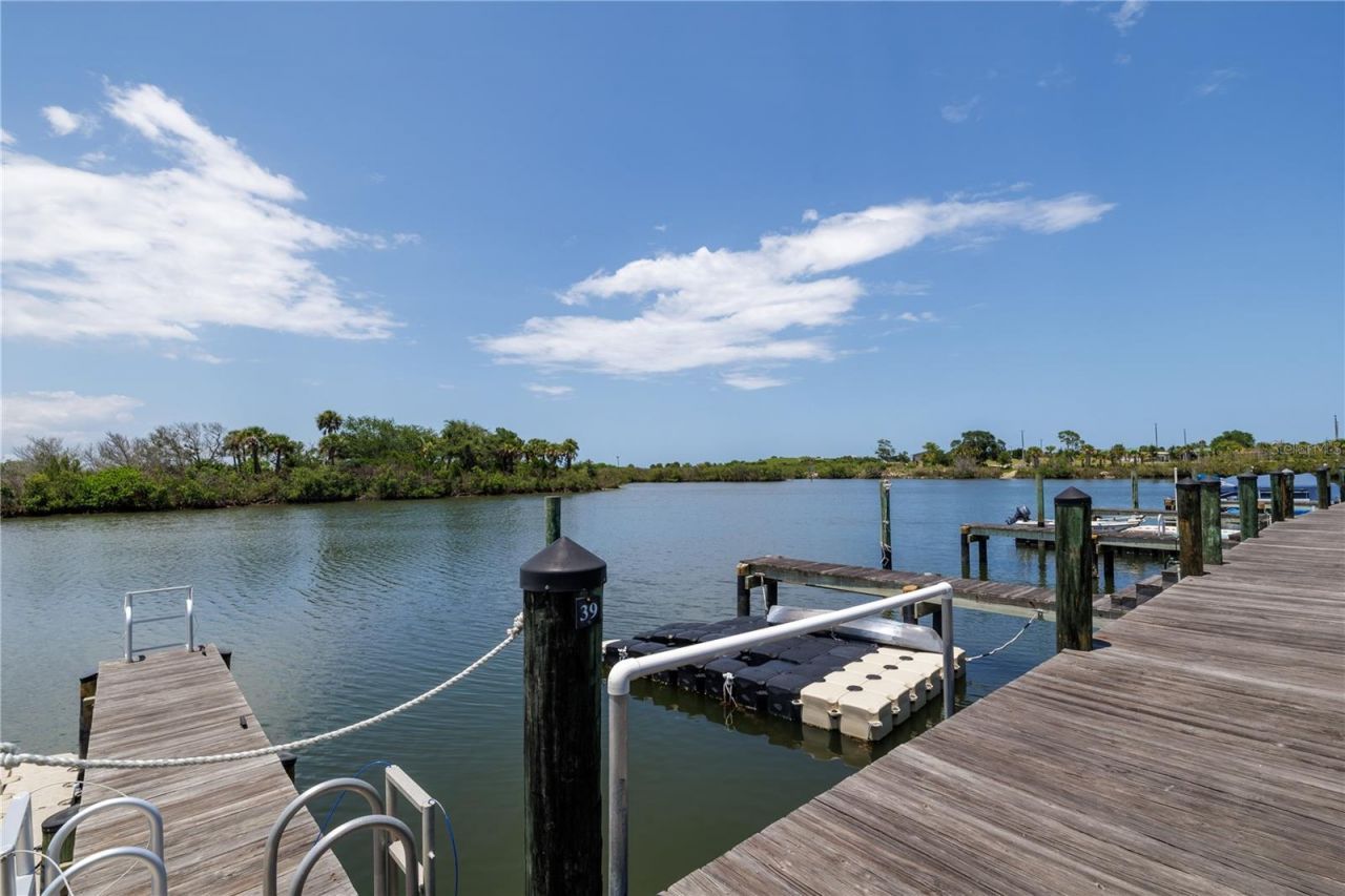 100 Poinciana Cove Court, Unit 100, New Smyrna Beach, FL 32169 Photo