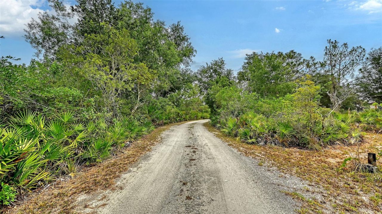 7945 Verna Bethany Road, Myakka City, FL 34251 Photo