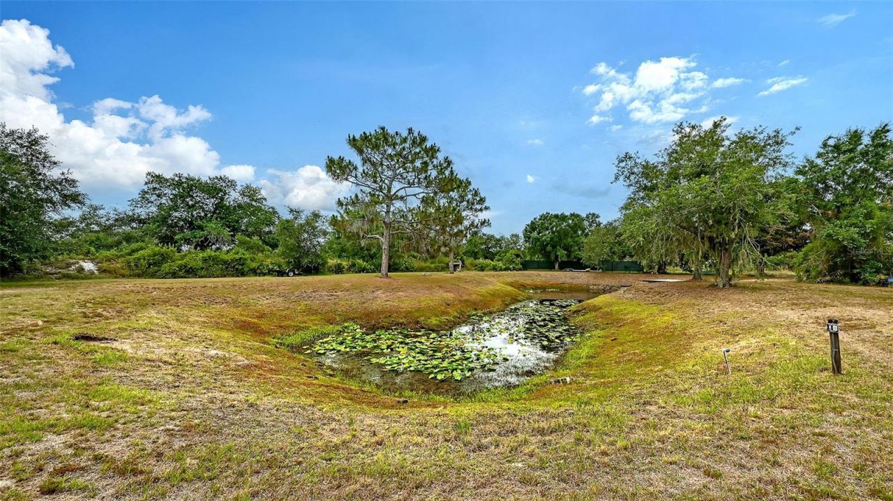 7945 Verna Bethany Road, Myakka City, FL 34251 Photo