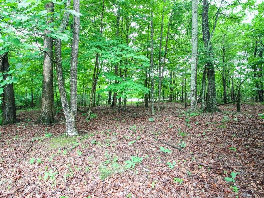 Property Image 33