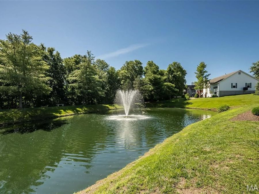 Property Image 62