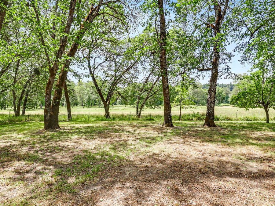 Property Image 81