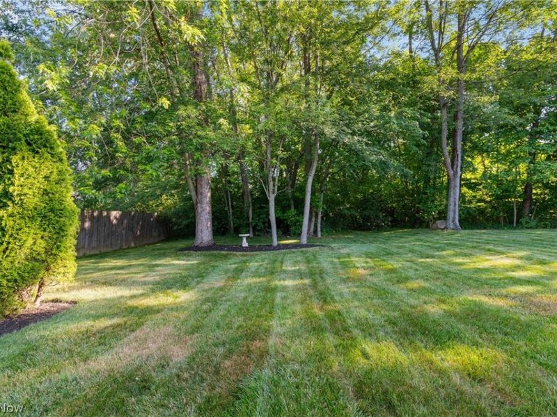 1885 Faye Road, Akron, OH 44306 Photo 24
