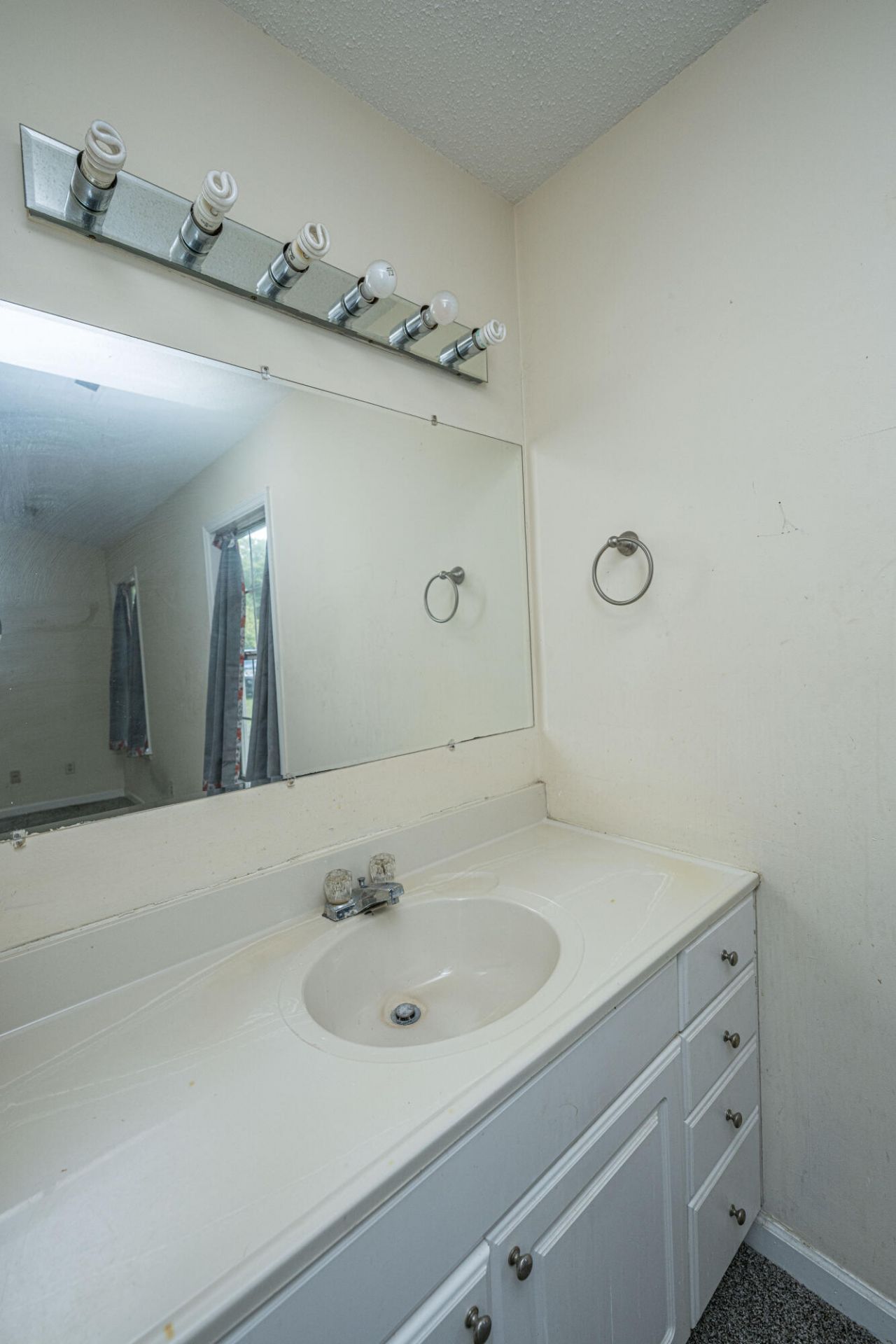 1437 Swamp Angel Court Photo 26