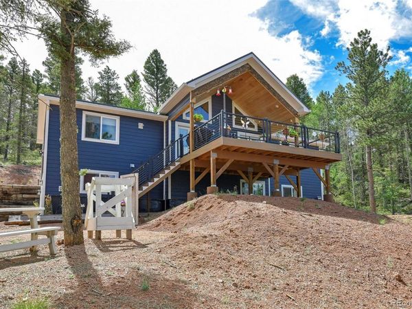 100 Wildcat Creek Drive , Florissant, CO 80816
