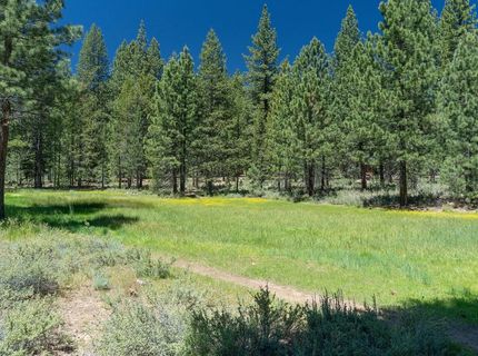 10100 Pioneer Trail, Unit #100, Truckee, CA 96161 Photo