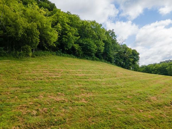193 Dixon Ln , Pleasant Shade, TN 37145