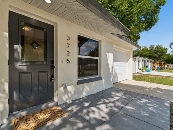 3725 AMBERMIST DRIVE, TAMPA, FL 33619