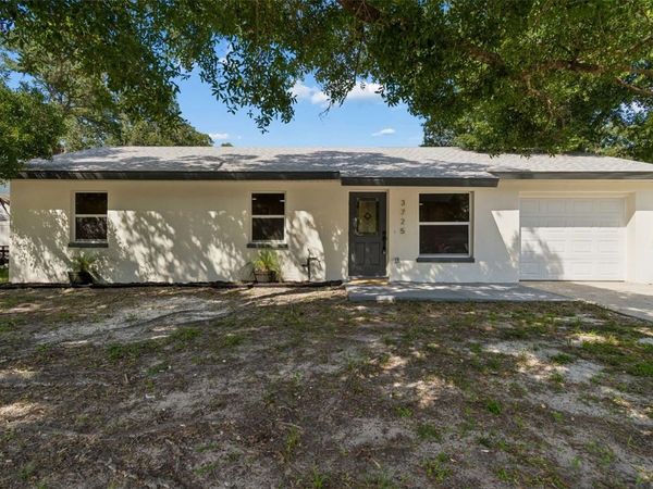 3725 AMBERMIST DRIVE, TAMPA, FL 33619