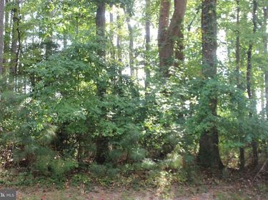 146 CAPTAINS CORRIDOR , GREENBACKVILLE, VA 23356