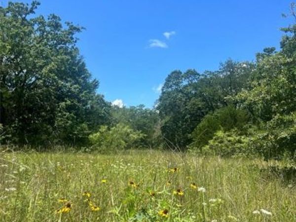 TBD FM 39, Groesbeck, TX 76642