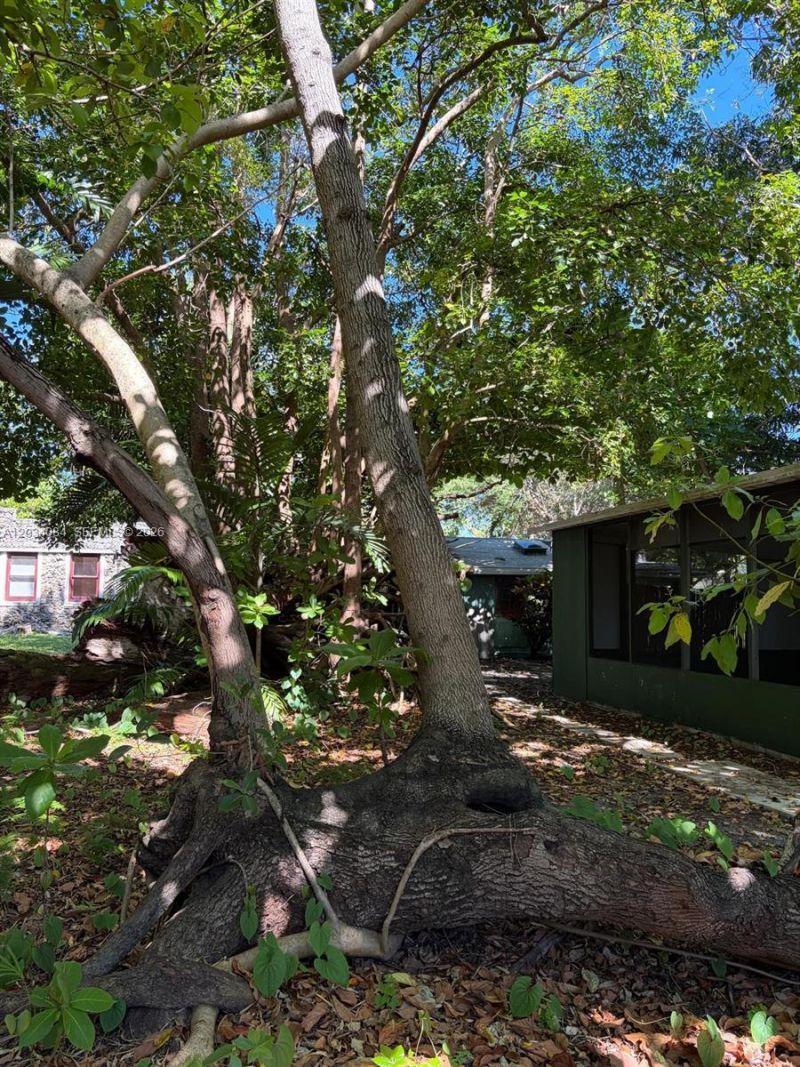 8238 NE 9th Ave , Miami, FL 33138 Photo