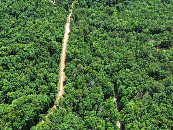 10 Lute Mountain Road , Shirley, AR 72513