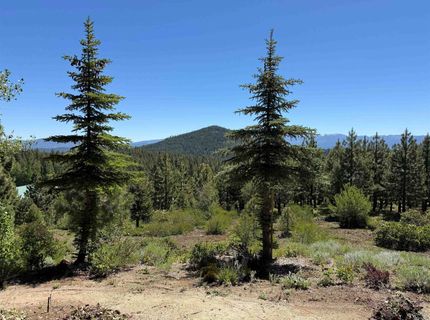 14509 Wolfgang Road, Truckee, CA 96161 Photo